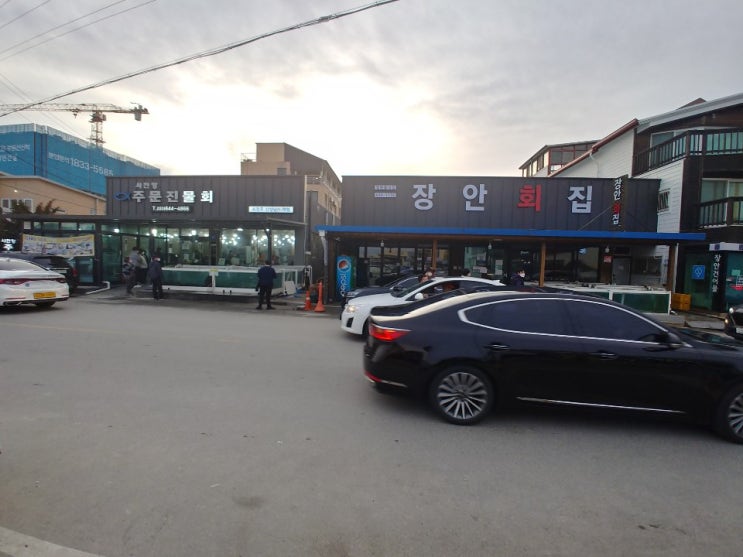 사천항 주문진물회 사천항 주문진물회