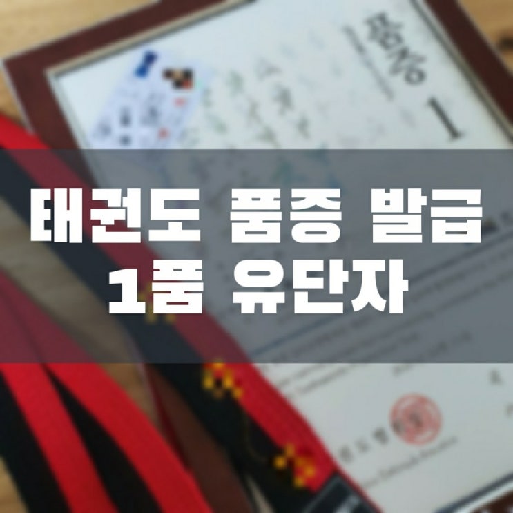  태권도 품증 발급 (1품) 품증 단증 조회