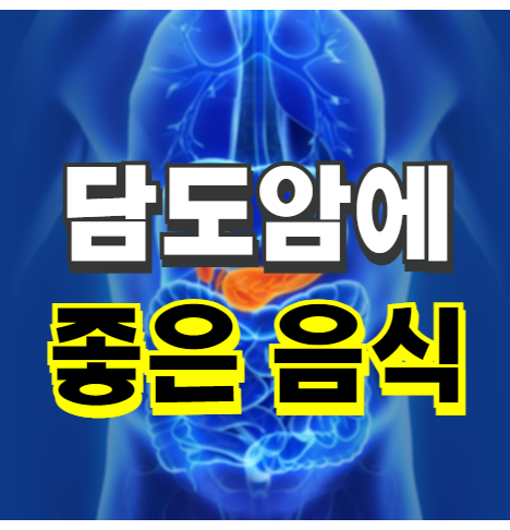  담도암에 좋은 음식 (과인) - 추천하는 암환자 식단