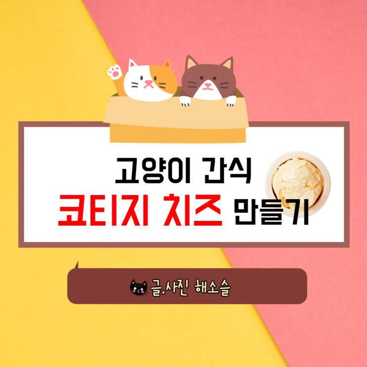  고양이 간식 코티지 치즈 만들기