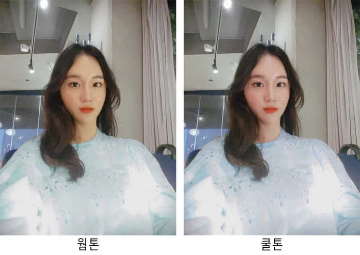  [웜톤 쿨톤] 염색, 어울리는색 진짜 잘 모르겠다면
