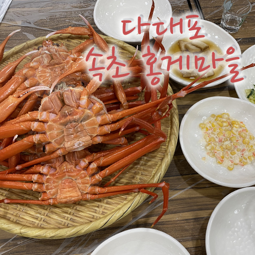  다대포맛집, 속초홍게마을 홍게 먹으러가요~