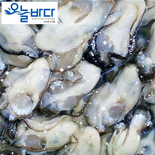 구매평 좋은 (오늘바다) 국내산 싱싱한 통영 생굴 1kg 추천합니다 구매평 좋은 (오늘바다) 국내산 싱싱한 통영 생굴 1kg 추천합니다