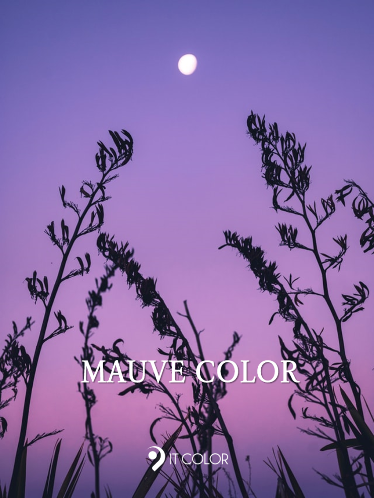 최초의 합성염료 보라색 컬러 모브(mauve)! 예술과 패션을 물들이다 최초의 합성염료 보라색 컬러 모브(mauve)! 예술과 패션을 물들이다