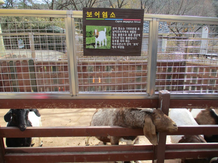  대전 오월드