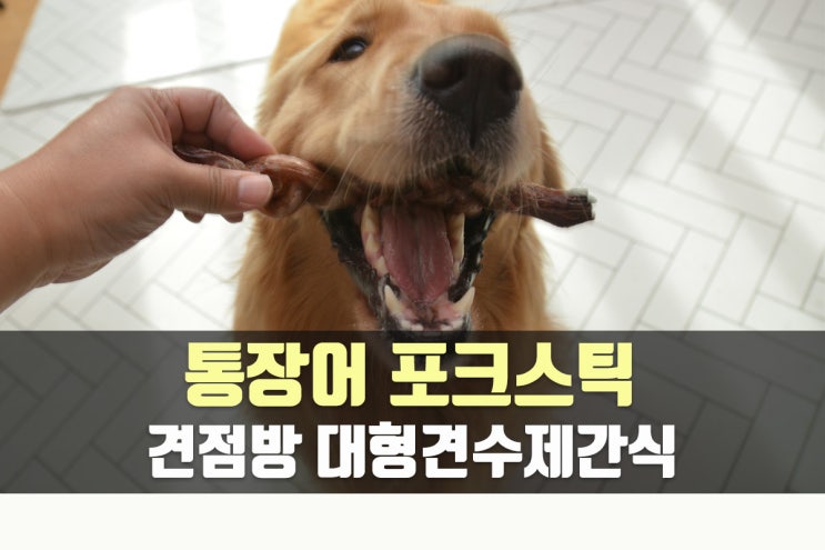  대형견수제간식 견점방 통장어, 포크스틱, 소뿔 오래 먹는 간식은 이걸로
