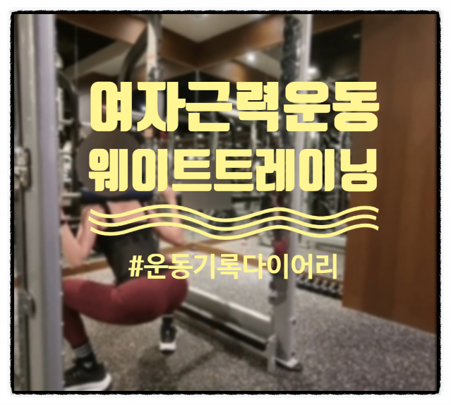 여자근력운동 웨이트 운동다이어리 영상,움짤(0227) 내돈내운동