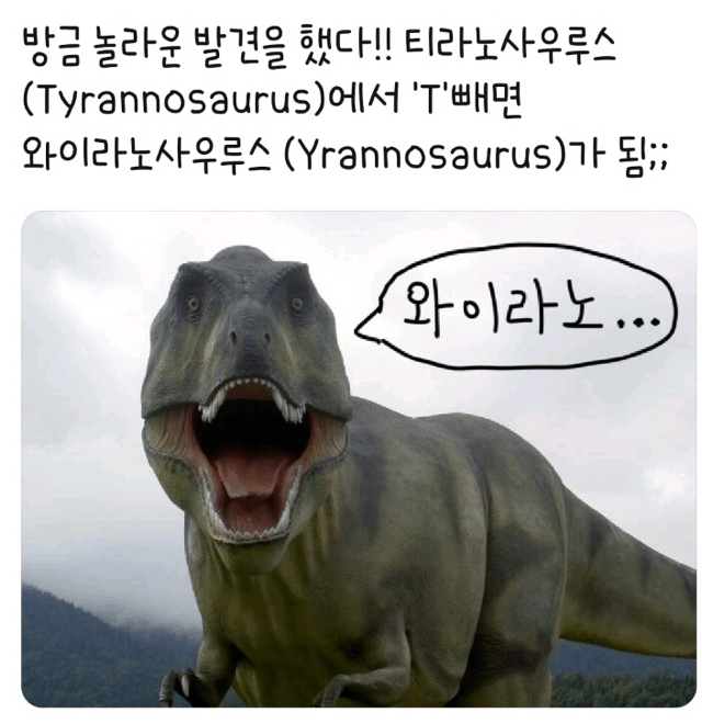  똥 싸면서 핸드폰 게임 하는데 다리 사이 팬티 위로 고양이가 앉아있고 그걸 어미 고양이가 쳐다보고 있는 장면을 찍으려는걸