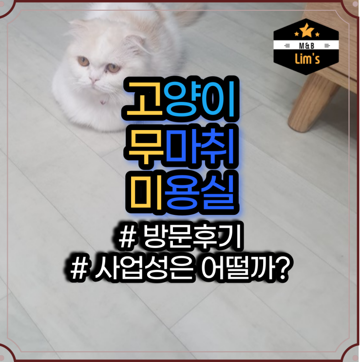  고무미 고양이 무마취 미용 업체 방문후기 * 사업성 검토