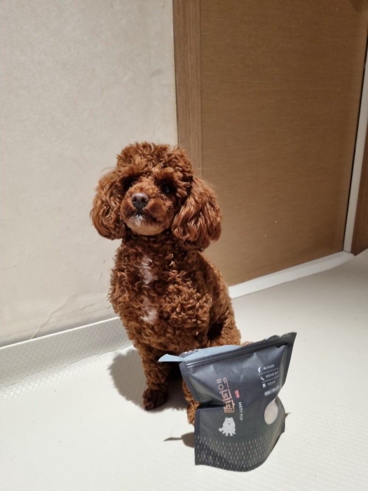 강아지관절영양제 내몸애 하루한첩 녹용깡 추천
