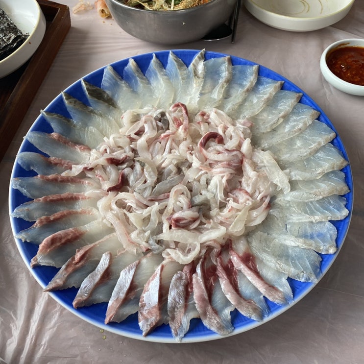  경주 감포맛집 추천 "감포횟집" 솔직후기
