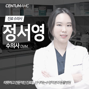 [센텀동물메디컬센터] 정서영 수의사