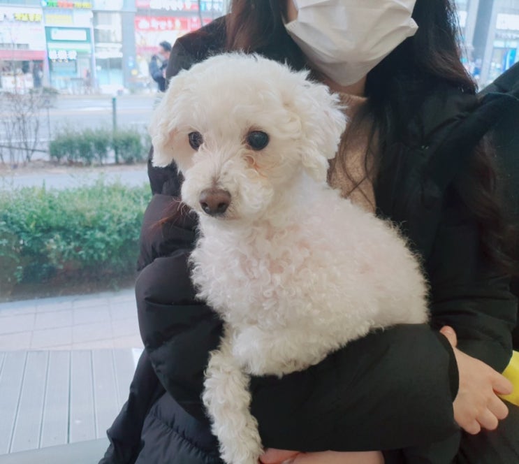  하남 동물병원*미사동물병원 24시튼튼동물의료센터 솔직 후기