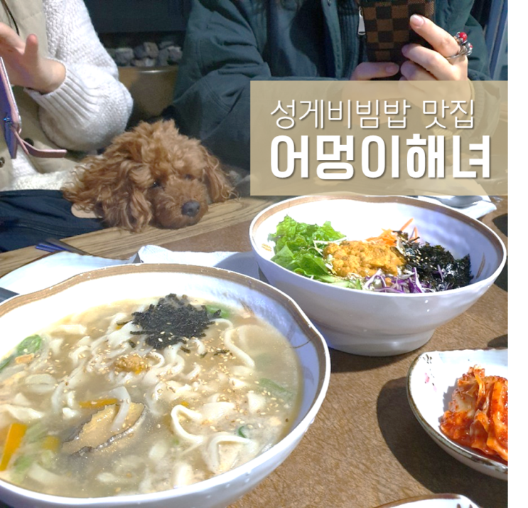  어멍이해녀 ; 종달리 애견동반 성게비빔밥맛집