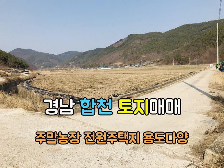  합천부동산(1-729) 용도다양한 맨뒤에 위치한 주말농장 전원주택지 경남토지 합천땅 매매 입니다