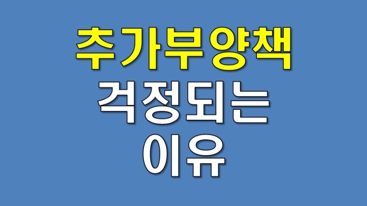  추가 부양책이 걱정되는 이유