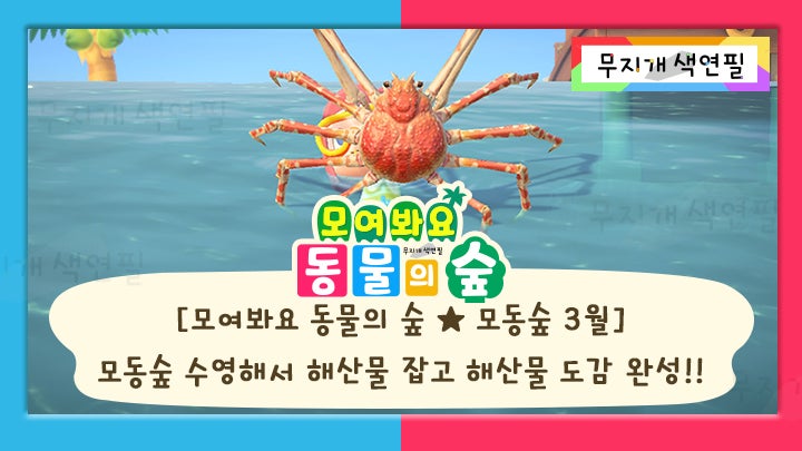 [모여봐요 동물의 숲(동숲)] 모동숲 수영해서 해산물 잡고 모동숲 해산물 도감 완성!!_모동숲 3월_모동숲 업데이트 : 네이버 블로그