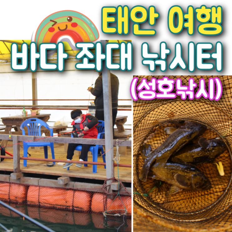  아이와 태안여행 바다 좌대 낚시터에서 우럭잡기 (성호좌대낚시)