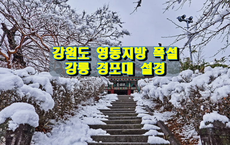 강원도 영동지방 폭설, 강릉 경포대 설경 강원도 영동지방 폭설, 강릉 경포대 설경