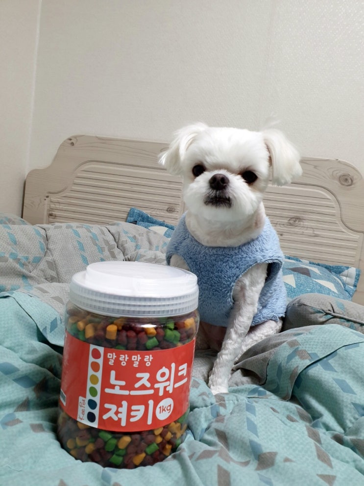  말티즈간식 강아지간식 펫앤유 져키 대용량으로 가성비 갑