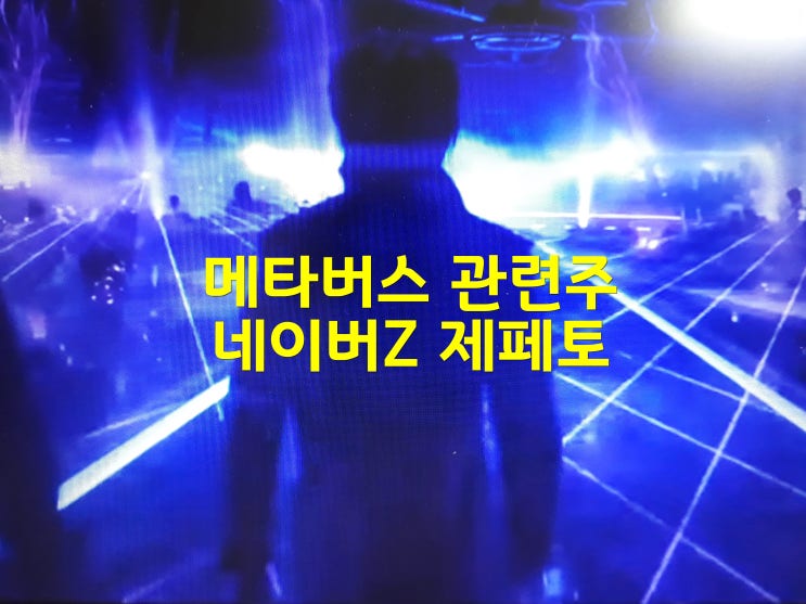 메타버스관련주 네이버Z 제페토를 주목