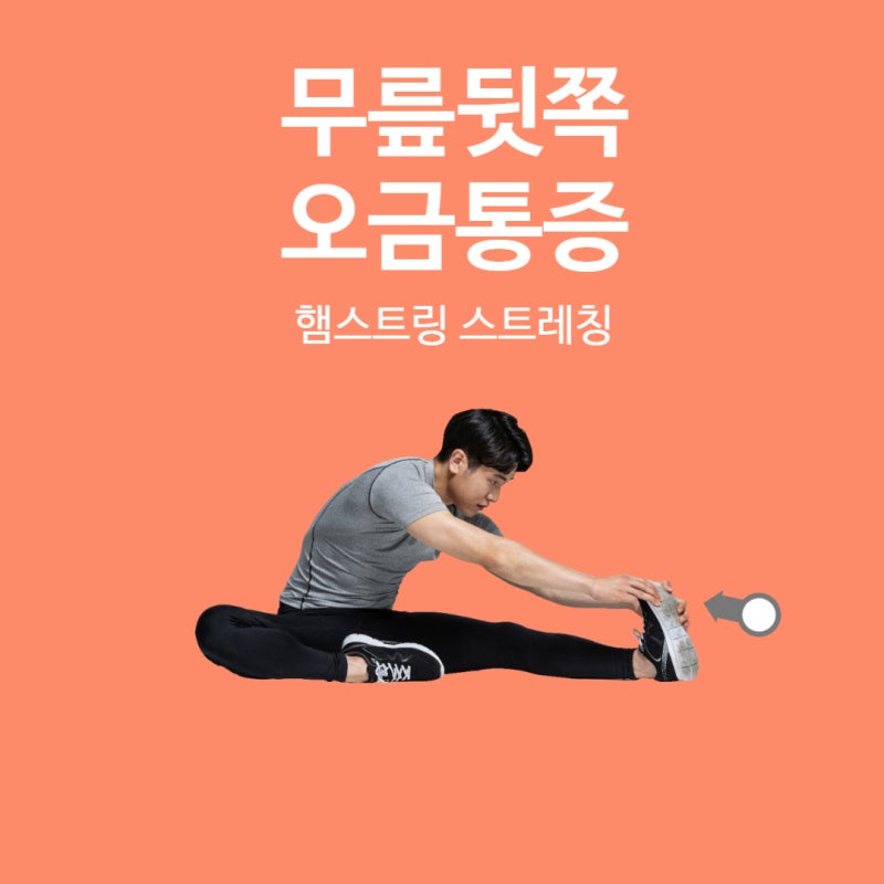 무릎 뒤쪽 오금 통증 원인 슬와근, 대퇴이두근 : 네이버 블로그