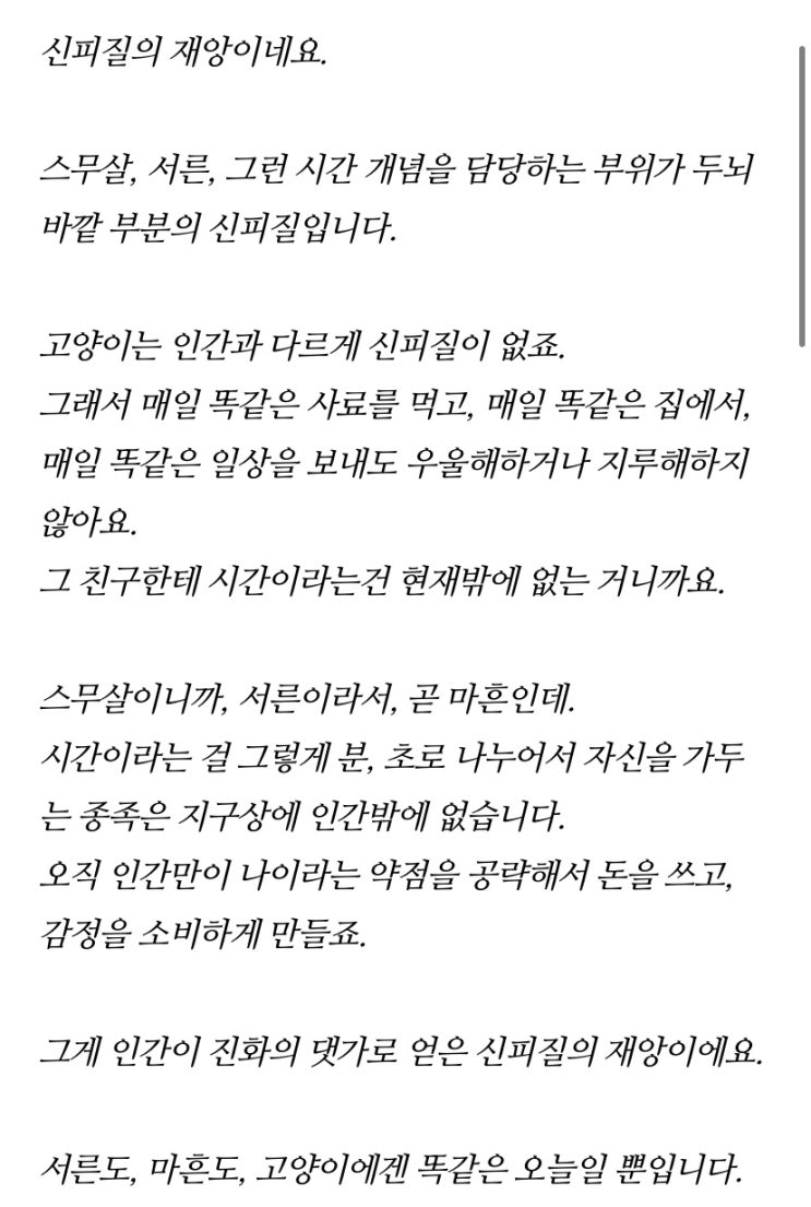  심심해서 하는 100문 100답