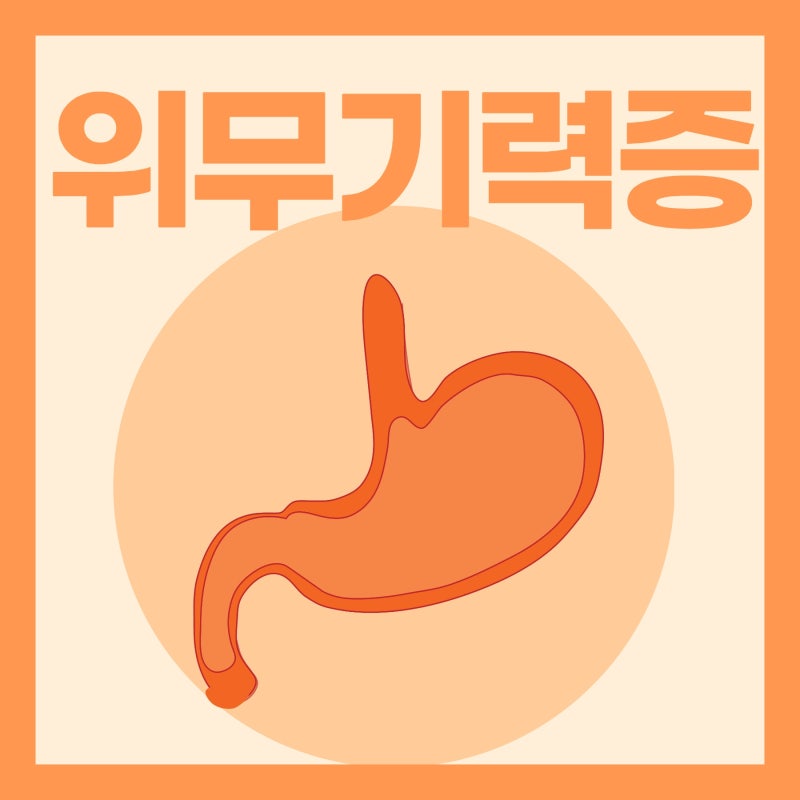 위무기력증(위하수증) 참 고통스럽죠?