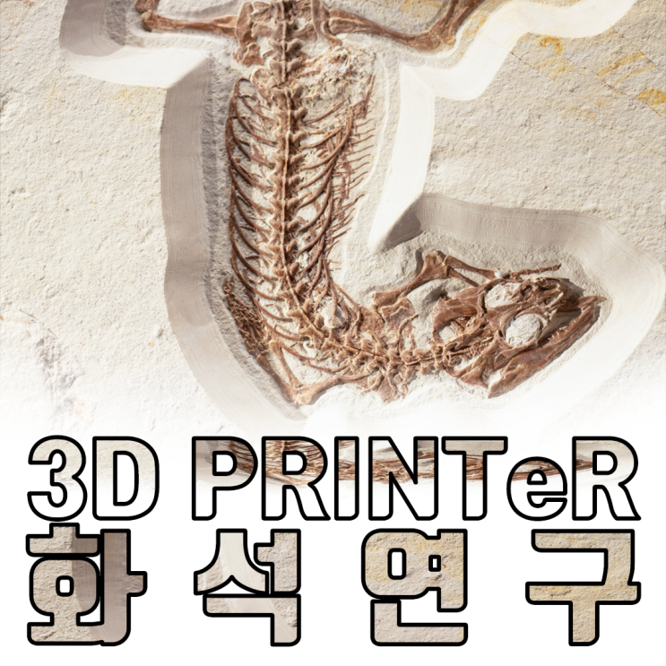 3D프린터 화석으로 진화 과정을 알 수 있다고??