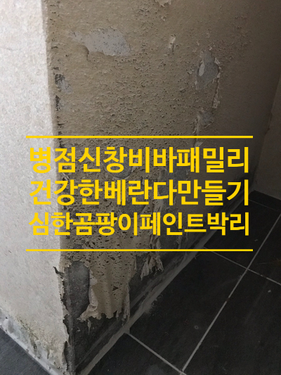  화성탄성코트 병점동 비바패밀리 곰팡이와 페인트박리로 건강을 해칠수있는 베란다가 건강한 베란다로 변신!