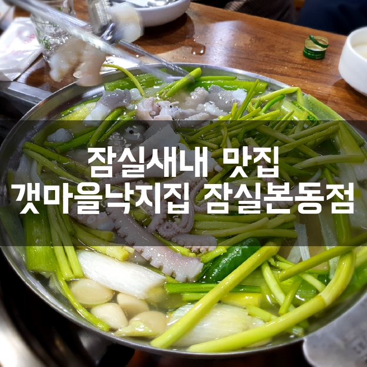  [잠실새내 맛집] 연포탕과 철판낙지가 일품인 노포식당 갯마을낙지집