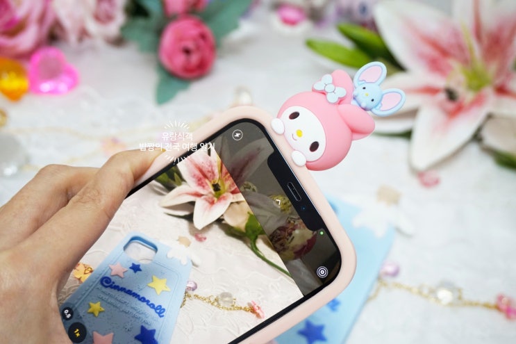  아이폰12 pro max 폰케이스 추천! 산리오 마이멜로디, 시나몬롤 젤리케이스