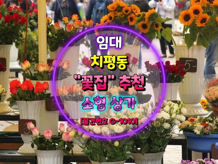  광주광역시 상무지구 꽃집 추전 소형 상가임대 [거래완료]