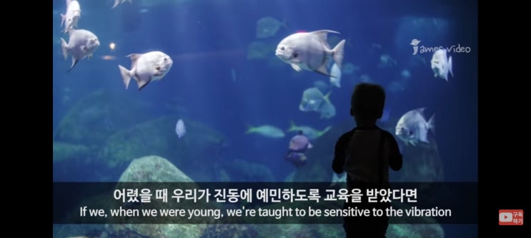  [마음] 우리는 독립된 세포들의 집합체일 뿐이다. (feat. 브루스 립튼 박사)