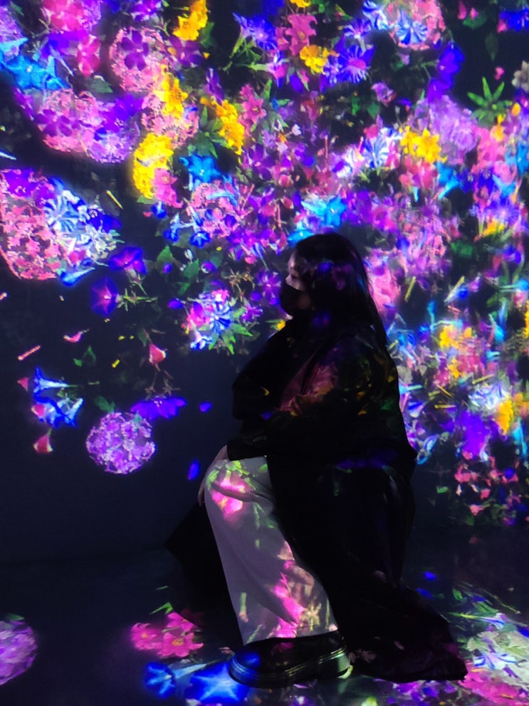  팀랩라이프(teamLab: LIFE) 미디어 전시, DDP 동대문 3월전시회 추천