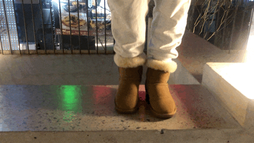  겨울데일리슈즈 [UGG ]어그부츠 내돈내산후기