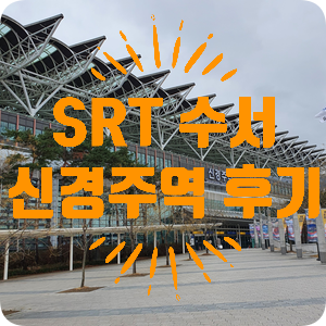 [SRT] SRT 수서역 - 신경주역 왕복 예매 후기 자리 추천!