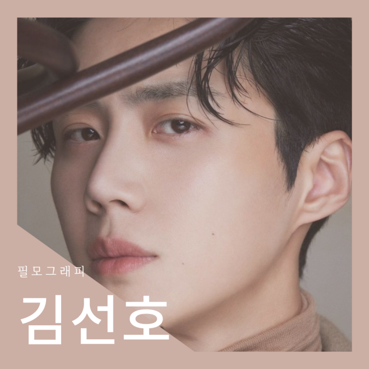  [필모그래피] 배우 김선호 필모