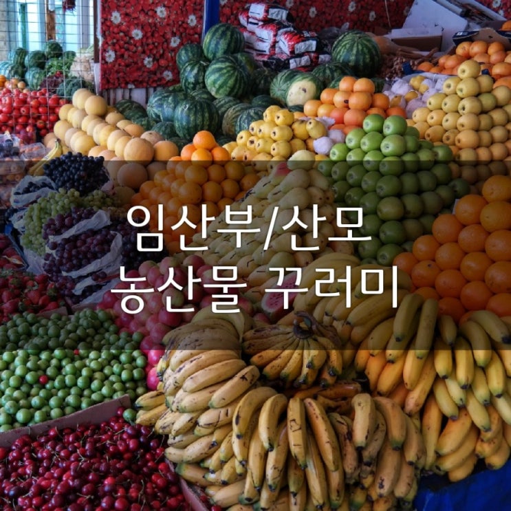 수원 임산부 농산물꾸러미 신청_임산부코드, 두레생협