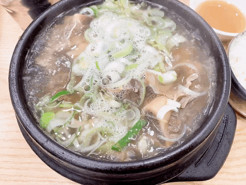  청주 복대동 갈비탕 맛집 정고집왕갈비탕 든든한 한끼 최고!