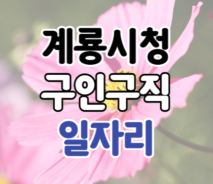 계룡시청 구인구직 일자리 보기