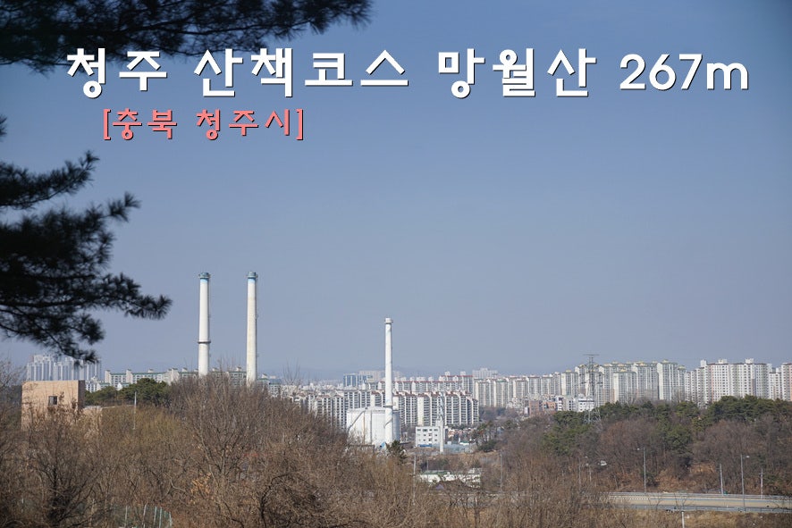 망월산 사진 1