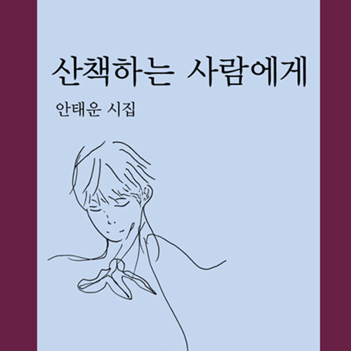 단어와 문장 사이를 산책하는 풍광, 안태운 시집 산책하는 사람에게