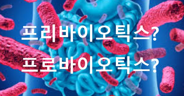 프로바이오틱스? 프리바이오틱스? 개념 섭취방법 알기