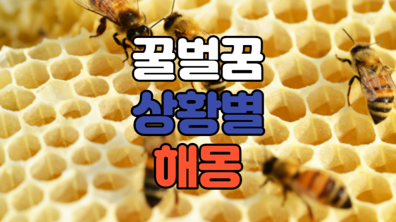 꿀벌꿈 벌집꿈 의미와 해몽