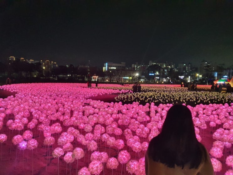  경주 빛누리정원 공원 반해버린 곳(주차장 팁)