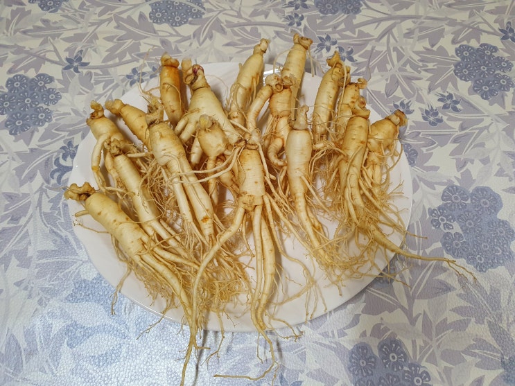 금산부부인삼 금산인삼 원수삼 꿀절임 만들어요 금산부부인삼 금산인삼 원수삼 꿀절임 만들어요