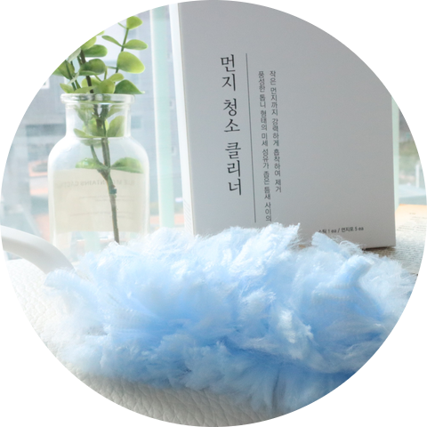  먼지 제거기로 집 먼지청소