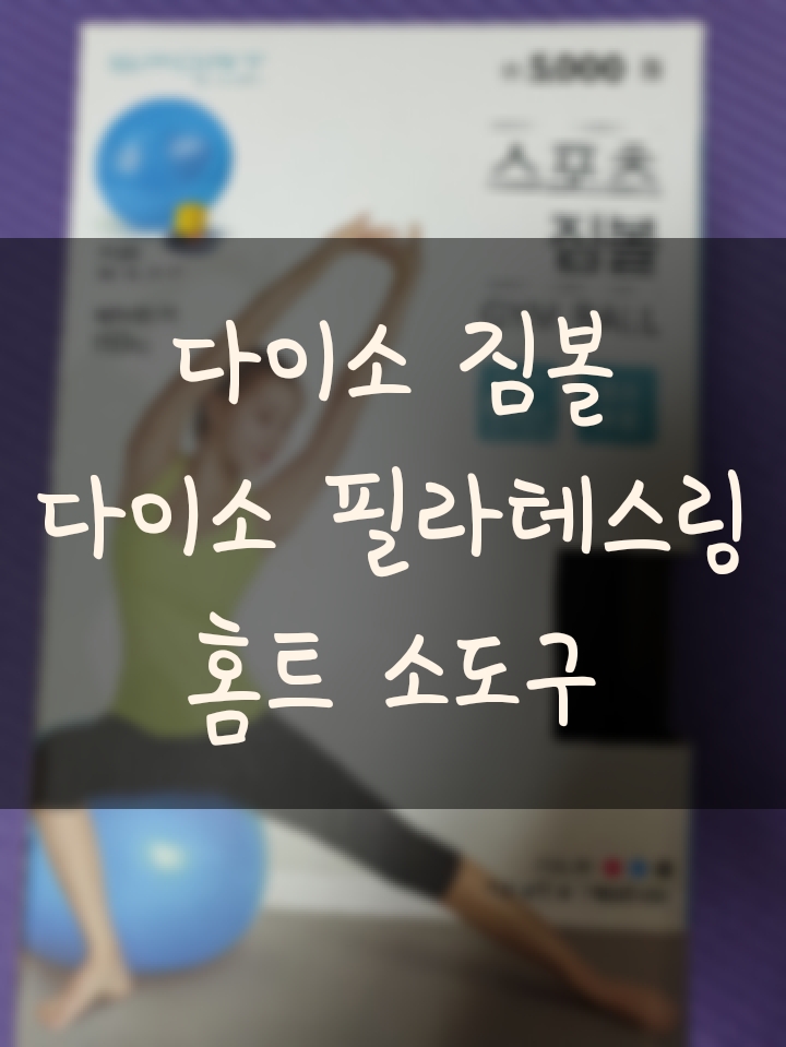  다이소 짐볼/ 다이소 필라테스링 구입후기