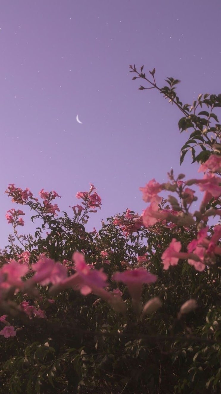  오랜만에 컴백했어요:)